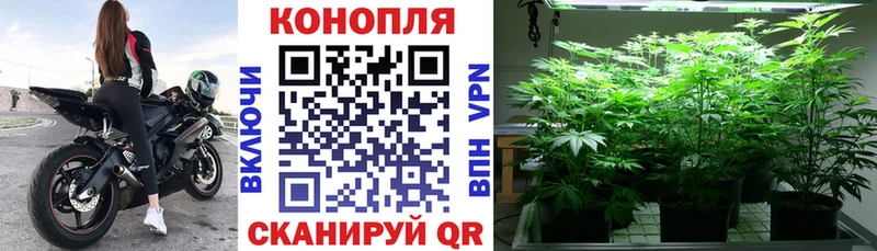 Купить наркотики Ипатово АМФ  кракен как зайти  Меф  Гашиш  Cocaine  Каннабис 