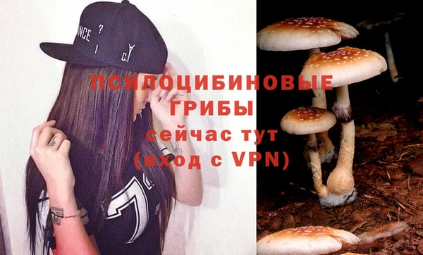круглые Алексеевка
