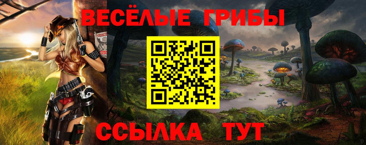 Псилоцибиновые грибы ЛСД  Вход с VPN  Ипатово 