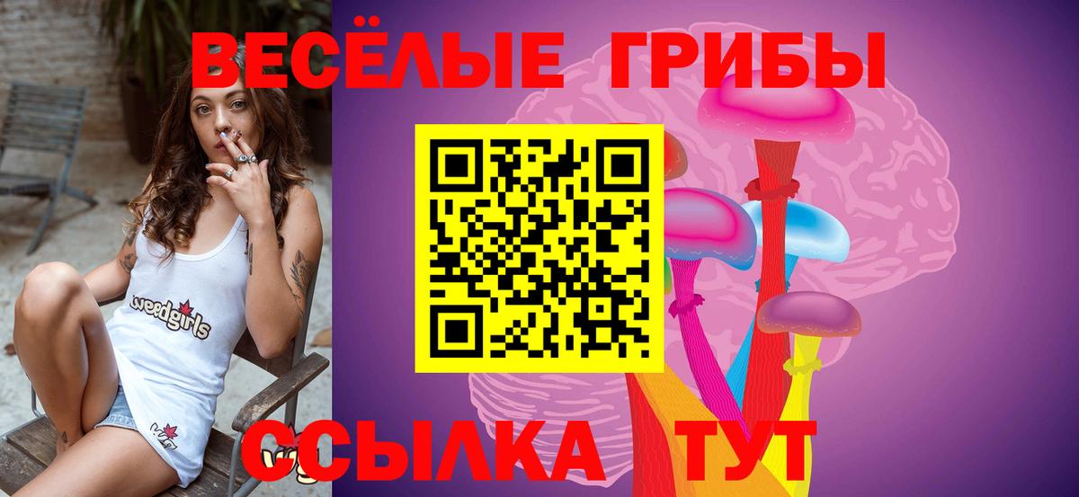 Псилоцибиновые грибы Cubensis Ипатово